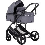 Carucior Chipolino Amore 2 in 1 cloud grey