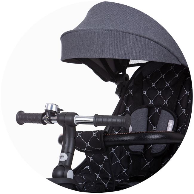 Tricicleta Chipolino Pegas cu sezut reversibil anthracite