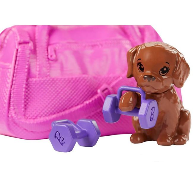 Set Barbie by Mattel Wellness and Fitness papusa cu figurina si accesorii GJG57