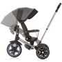 Tricicleta cu copertina si sezut reversibil Chipolino Derby granite