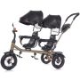 Tricicleta gemeni Chipolino 2Play obsidian gold