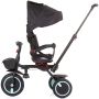 Tricicleta pliabila Chipolino Quick Fold cu sezut reversibil ebony