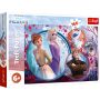 Puzzle Trefl Disney Frozen 2, Aventura surorilor 160 piese