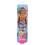 Papusa Barbie by Mattel Fashion and Beauty Ken la plaja GHW44