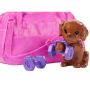 Set Barbie by Mattel Wellness and Fitness papusa cu figurina si accesorii GJG57