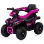Masinuta de impins Chipolino ATV cu maner pink