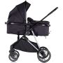 Carucior Chipolino Aura 2 in 1 blackberry