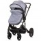 Carucior Chipolino Amore 2 in 1 ash grey