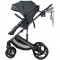 Carucior Chipolino Amore 2 in 1 basil