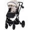 Carucior Chipolino Amore 2 in 1 biscotta