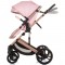 Carucior Chipolino Amore 2 in 1 flamingo