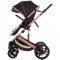 Carucior Chipolino Amore 2 in 1 obsidian gold