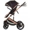 Carucior Chipolino Amore 2 in 1 obsidian gold