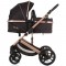 Carucior Chipolino Amore 2 in 1 obsidian gold