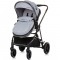 Carucior Chipolino Aura 2 in 1 ash grey