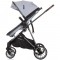 Carucior Chipolino Aura 2 in 1 ash grey