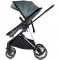Carucior Chipolino Aura 2 in 1 basil