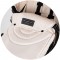Carucior Chipolino Aura 2 in 1 biscotta