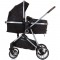 Carucior Chipolino Aura 2 in 1 obsidian