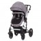 Carucior Chipolino Camea 2 in 1 graphite