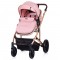 Carucior Chipolino Enigma 2 in 1 blush