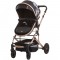 Carucior Chipolino Estelle 2 in 1 leaves