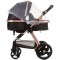 Carucior Chipolino Havana 2 in 1 obsidian gold