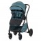 Carucior Chipolino Misty 2 in 1 aloe
