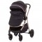 Carucior Chipolino Misty 2 in 1 pure black