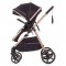 Carucior Chipolino Misty 2 in 1 pure black