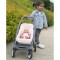 Carucior pentru papusi Smoby Quinny Combi 3 in 1 pink