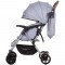 Carucior sport Chipolino April ash grey