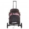 Carucior sport Chipolino Combo rose water