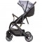 Carucior sport Chipolino Combo silver grey