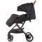 Carucior sport Chipolino Fantasy cu husa picioare blackberry