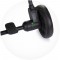 Carucior sport Chipolino Kiss ash grey