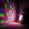 Lampa de veghe plus Chipolino Lamb