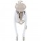 Leagan electric Chipolino Moonlight macadamia