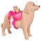 Papusa Simba Evi Love Dog Sitter 12 cm cu 4 figurine si accesorii