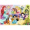 Puzzle Trefl Disney Princess, Printesele si prietenii lor 160 piese