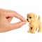 Set Barbie by Mattel Family papusa cu 4 catelusi si accesorii