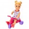 Set Barbie by Mattel Family Skipper Mamica si bebelus