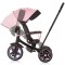 Tricicleta cu copertina si sezut reversibil Chipolino Derby flamingo